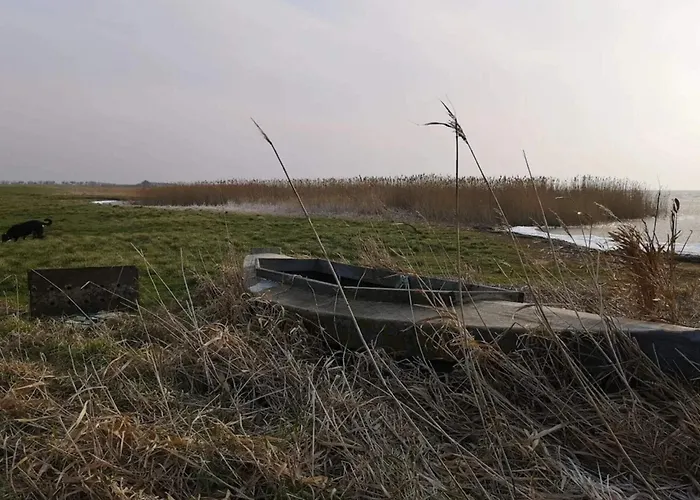 4 Person In Semesterbostad Ringkøbing